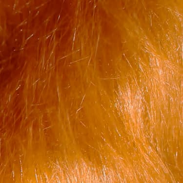 Tela Peluche Pelo Largo miniatura 6